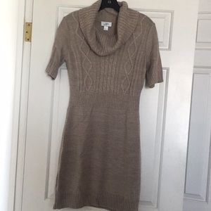 Ann Taylor Loft Sweater Dress